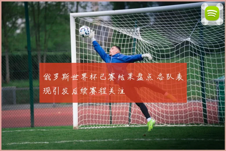 俄罗斯世界杯已赛结果盘点 各队表现引发后续赛程关注