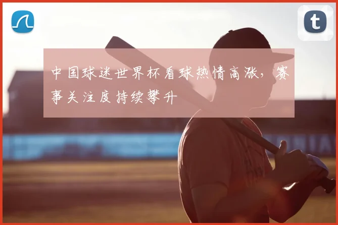 中国球迷世界杯看球热情高涨，赛事关注度持续攀升