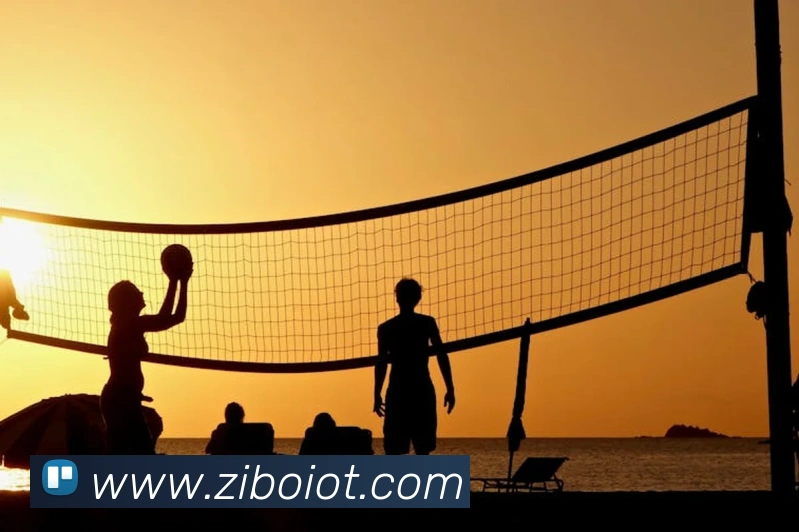 爱体育官网app下载服务体系