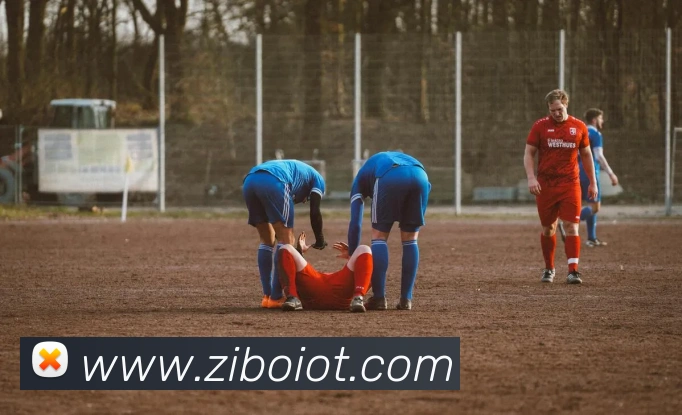 多媒体互动体验